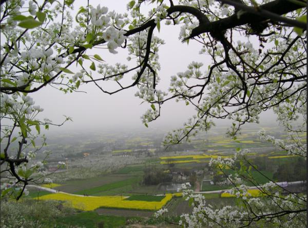 九龙山-麓棠山创建省级旅游度假区辅导