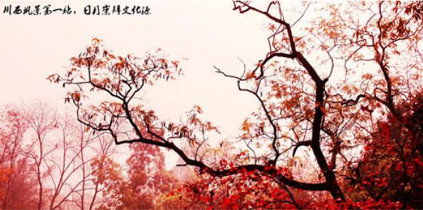 川西·红枫岭旅游度假区总体规划